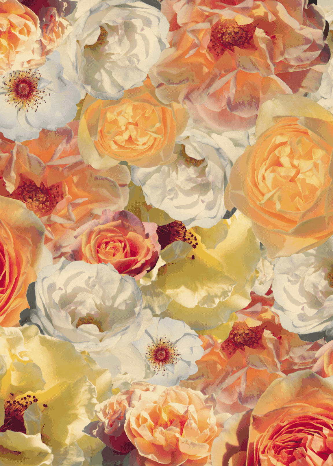 Bundle and Save : Fleurs de Minuit Collection - Arts et Matieres