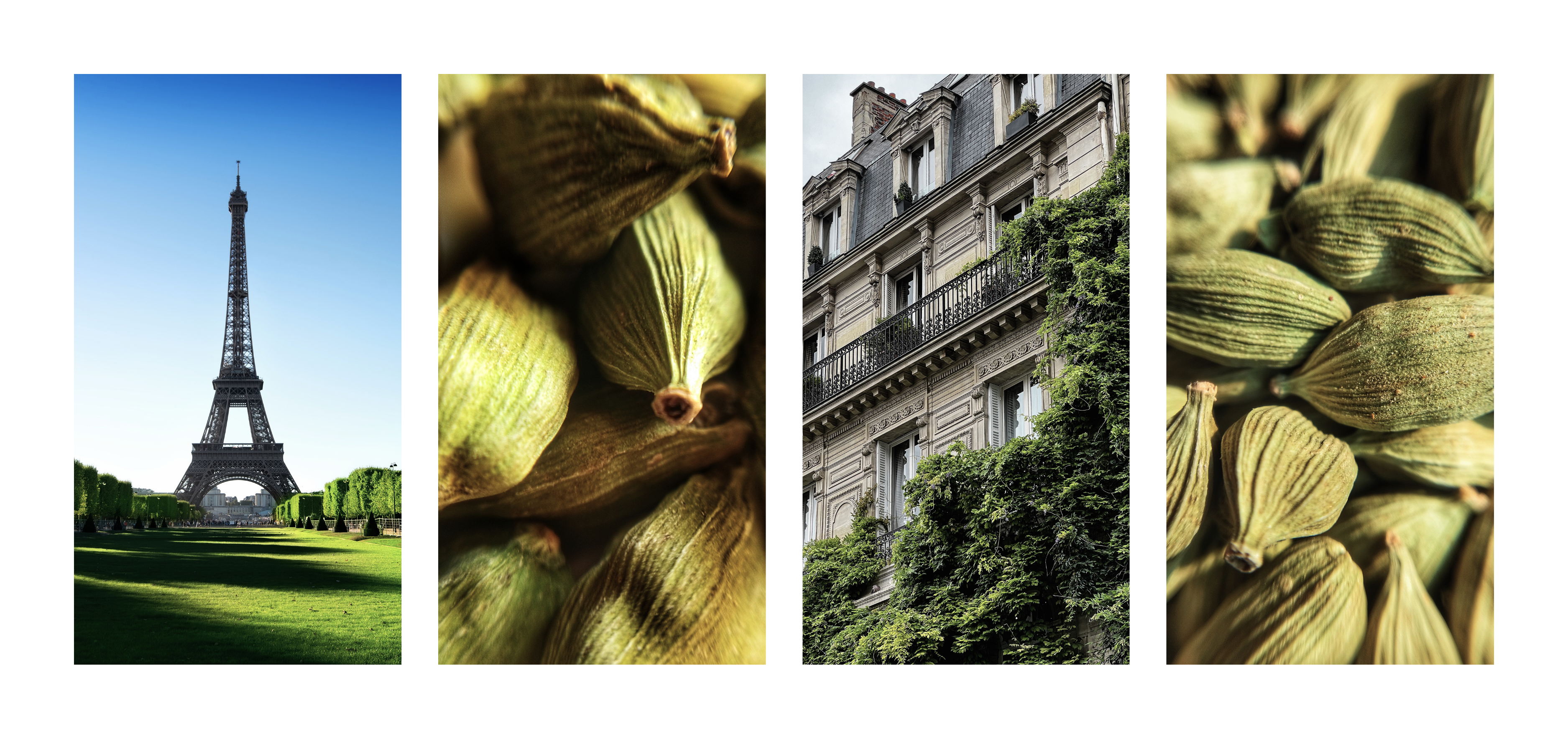 Touche de Cardamome