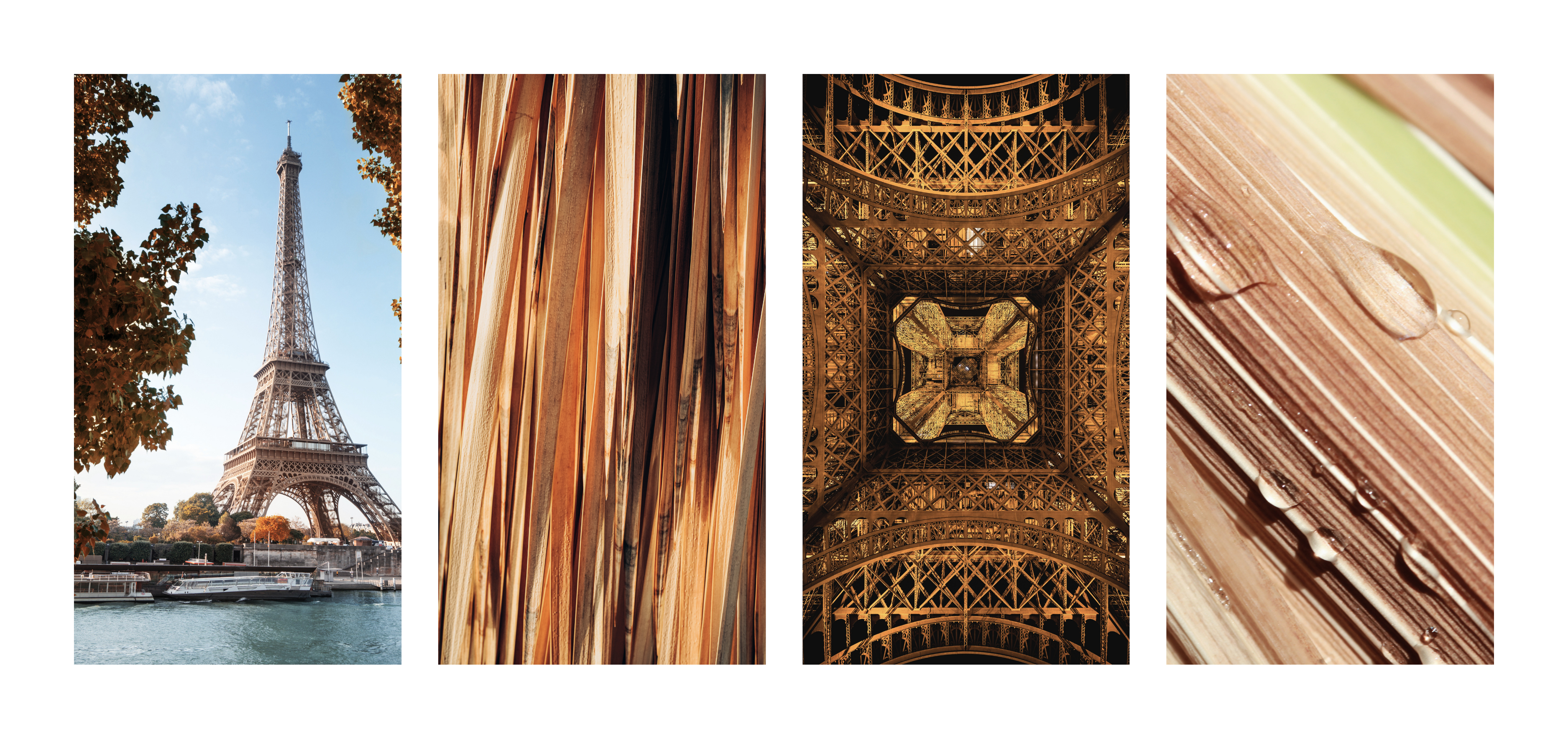 Vent de Vetiver